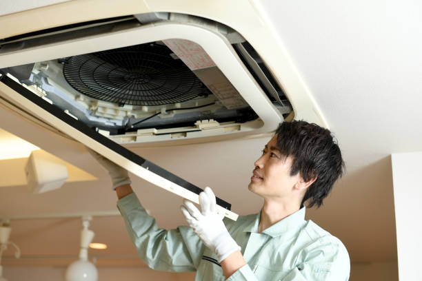 Best Air Vent Cleaning Services  in Loughman, FL